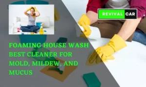 Best Foaming House Wash- Cleaner For Mold, Mildew & Mucus Foaming House Wash - Best Cleaner for Mold, Mildew, and Mucus