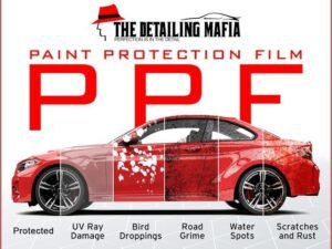 Benefits of Paint Protection on Cars: Enhance Longevity & Shine Benefits of Paint Protection on Cars