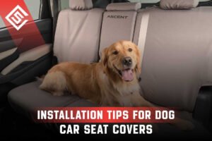 Car Cover Installation Tips